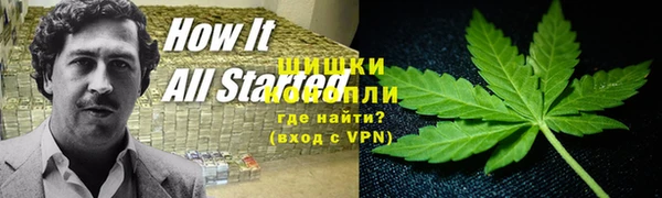 марки nbome Белокуриха