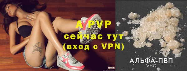 гидра Белоозёрский