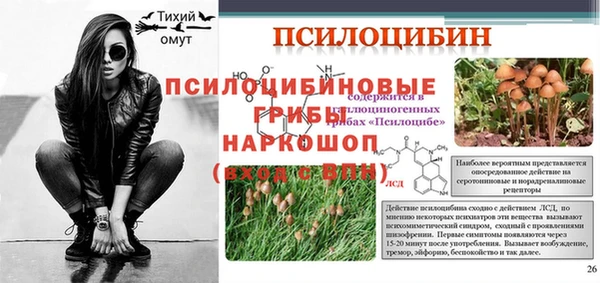марки nbome Белокуриха