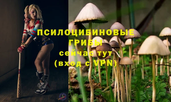 марки nbome Белокуриха