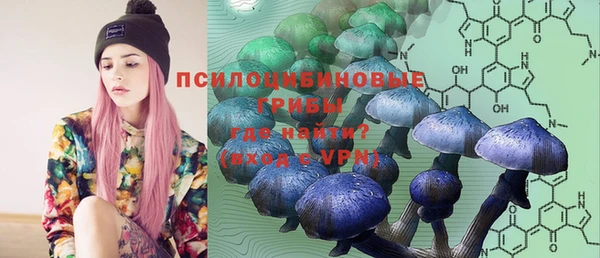 марки nbome Белокуриха