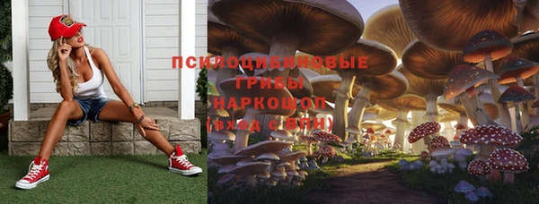 Альфа ПВП Беломорск