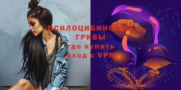 гидра Белоозёрский