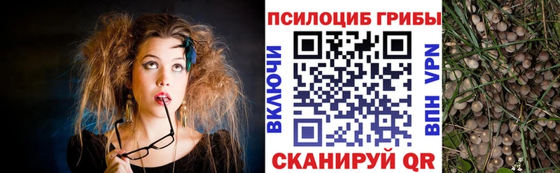 Псилоцибиновые грибы MAGIC MUSHROOMS  дарнет шоп  Светлый 